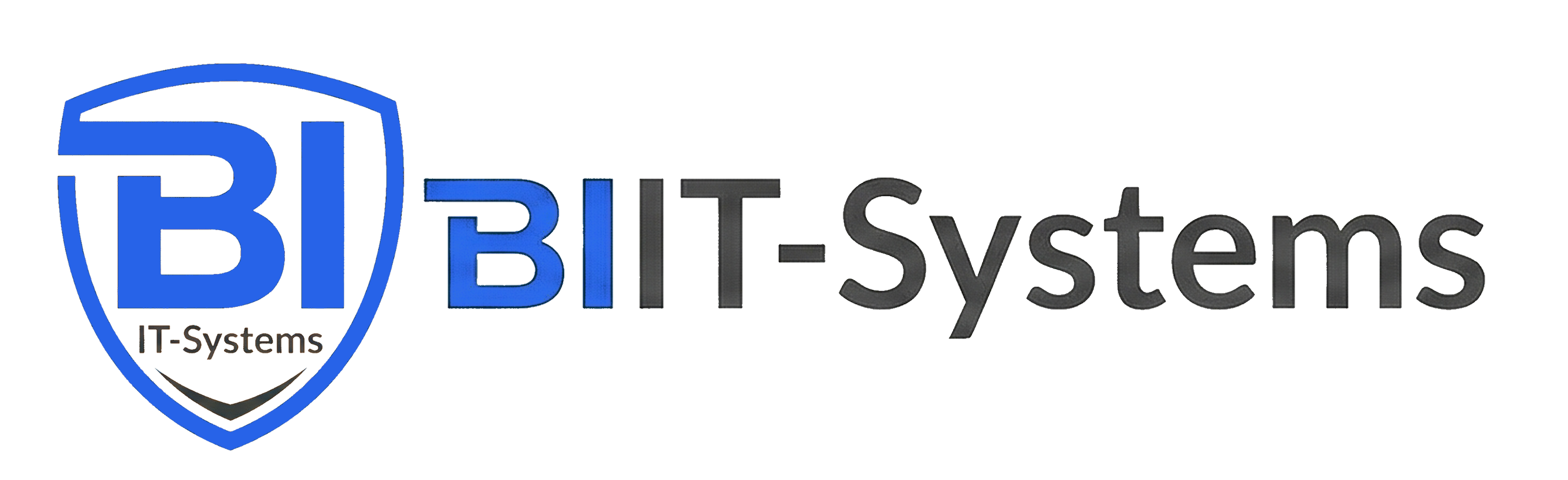 BIIT-Systems